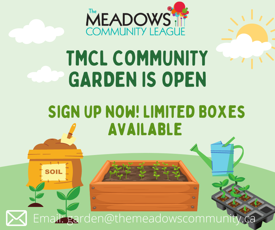 TMCL Community Garden is Open. Sign up Now! Limited Boxes Available. Email garden@themeadowscommunity.ca. A light green square with illustrations of white clouds in the sky and a yellow sun. A green hill has a rectangle garden box with sprouting plants. There is a bag of soil with a spade sticking out of it, a blue watering can, and a starter tray of seedlings around the box.